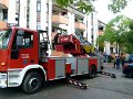 2011-08_JF_BF-Tag (6)